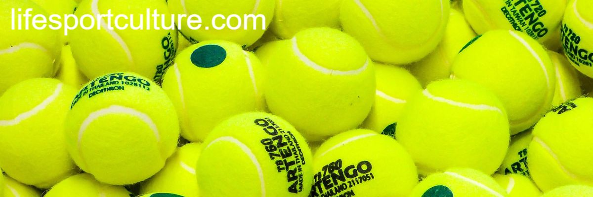 lifesportculture.com